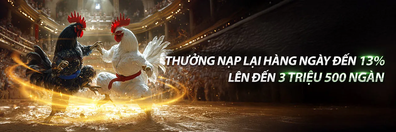 Đừng Bỏ Lỡ Cơ Hội Vàng